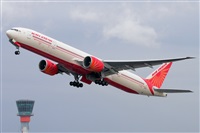 Miguel A. gueda Rguez.  (CANARY ISLANDS SPOTTING). Haz click para ampliar
