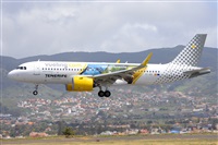 Miguel A. gueda Rguez.  (CANARY ISLANDS SPOTTING). Click to see full size photo