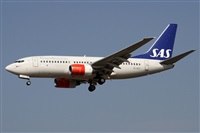 Alfonso Sols - Asociacin Canary Islands Spotting. Haz click para ampliar