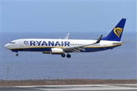 Miguel A. gueda Rguez.  (CANARY ISLANDS SPOTTING). Click to see full size photo