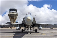 Daniel Santos Batista - Canary Islands Spotting. Click to see full size photo