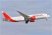 Miguel A. gueda Rguez.  (CANARY ISLANDS SPOTTING). Haz click para ampliar