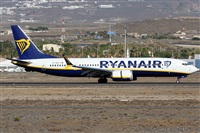 Alfonso Sols - Asociacin Canary Islands Spotting. Click to see full size photo