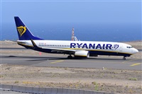 Miguel A. gueda Rguez.  (CANARY ISLANDS SPOTTING). Click to see full size photo