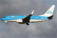 ©Alfonso Solís - Asociación Canary Islands Spotting. Click to see full size photo ©Alfonso Solís - Asociación Canary Islands Spotting. Click to see full size photo