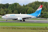 Miguel A. gueda Rguez.  (CANARY ISLANDS SPOTTING). Click to see full size photo