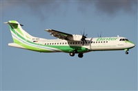 Alfonso Sols - Asociacin Canary Islands Spotting. Haz click para ampliar