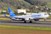 Miguel A. gueda Rguez.  (CANARY ISLANDS SPOTTING). Click to see full size photo