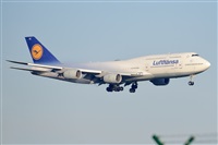 Miguel A. gueda Rguez.  (CANARY ISLANDS SPOTTING). Click to see full size photo