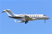Miguel A. gueda Rguez.  (CANARY ISLANDS SPOTTING). Click to see full size photo