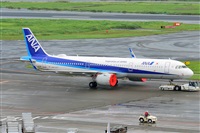 Miguel A. gueda Rguez.  (CANARY ISLANDS SPOTTING). Haz click para ampliar