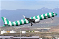 Miguel A. gueda Rguez.  (CANARY ISLANDS SPOTTING). Click to see full size photo
