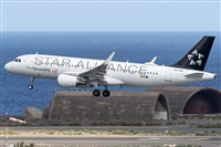 ©Adolfo Bento - Gran Canaria Spotters. Click to see full size photo ©Adolfo Bento - Gran Canaria Spotters. Click to see full size photo