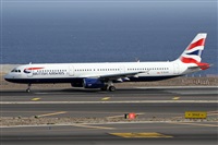 ©Alfonso Solís - Asociación Canary Islands Spotting. Click to see full size photo ©Alfonso Solís - Asociación Canary Islands Spotting. Click to see full size photo