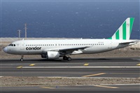 Alfonso Sols - Asociacin Canary Islands Spotting. Click to see full size photo