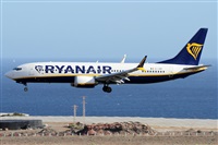 ©Alfonso Solís - Asociación Canary Islands Spotting. Click to see full size photo ©Alfonso Solís - Asociación Canary Islands Spotting. Click to see full size photo
