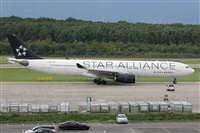 Adrin Alonso Lemes - Lanzarote Spotters. Click to see full size photo