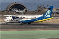 ©Adolfo Bento - Gran Canaria Spotters. Click to see full size photo ©Adolfo Bento - Gran Canaria Spotters. Click to see full size photo