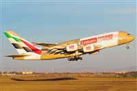 Tams. Click to see full size photo