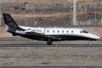 ©Alfonso Solís - Asociación Canary Islands Spotting. Click to see full size photo ©Alfonso Solís - Asociación Canary Islands Spotting. Click to see full size photo
