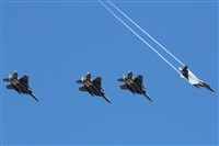 �Adri�n Alonso Lemes - Lanzarote Spotters. Click to see full size photo