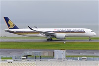 �Miguel A. �gueda Rguez.  (CANARY ISLANDS SPOTTING). Click to see full size photo