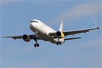 �A. Torres. Click to see full size photo