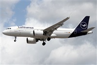 �Alfonso Sol�s - Asociaci�n Canary Islands Spotting. Click to see full size photo