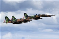 ©Alejandro Torres C (México). Click to see full size photo ©Alejandro Torres C (México). Click to see full size photo