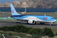 �Adolfo Bento - Gran Canaria Spotters. Click to see full size photo