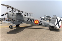 �Adolfo Bento - Gran Canaria Spotters. Click to see full size photo