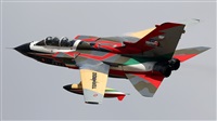 �Andrzej Rejter. Click to see full size photo