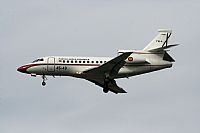 Galo Alcolea - Iberian Spotter / AIRE.ORG. Click to see full size photo