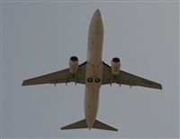Adrin Alonso Lemes - Lanzarote Spotters. Click to see full size photo