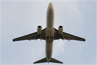 Luciano de la Rosa Gutirrez (Tenerife) Canary Islands Spotting. Click to see full size photo