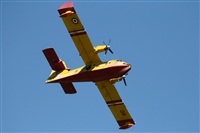 JOSE LUIS MOYA. Click to see full size photo