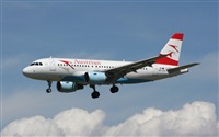 Guillem Ramonet - Iberian Spotters. Click to see full size photo
