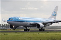 Rodrigo Carvalho - Noisy Spotters. Click to see full size photo