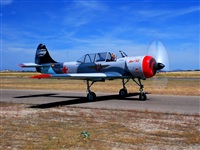 Jos A. Montes - AIRE.ORG. Click to see full size photo