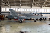 Gerardo A. Prez   Canary Islands Spotting. Click to see full size photo