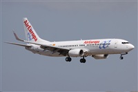 Alfonso Sols - Asociacin Canary Islands Spotting. Click to see full size photo