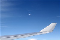 Nacho Rodriguez - Canary Islands Spotting. Click to see full size photo