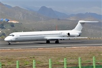 Miguel A. gueda Rguez.  (CANARY ISLANDS SPOTTING). Click to see full size photo