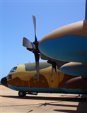 Adrian U. Monterde - Spotters Maos. Click to see full size photo