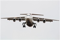 Rubn C.. Click to see full size photo