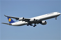 Rubn Gil - Noisy Spotters. Click to see full size photo
