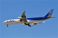 Miguel A. gueda Rguez.  (CANARY ISLANDS SPOTTING). Click to see full size photo