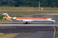 Javier de la Cruz - CANARY ISLANDS SPOTTING. Click to see full size photo
