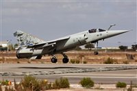 ©Antonio Zamora - La Mancha Spotters. Click to see full size photo ©Antonio Zamora - La Mancha Spotters. Click to see full size photo