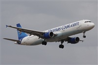©Alfonso Solís - Asociación Canary Islands Spotting. Click to see full size photo ©Alfonso Solís - Asociación Canary Islands Spotting. Click to see full size photo